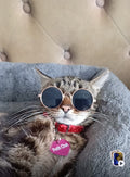 Lunettes de soleil pour chat ou petit chien "Petit Chat" modèle 1