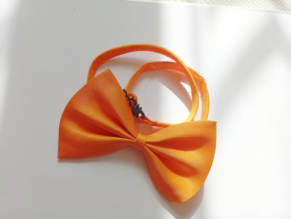 Nœud papillon Petit Chat, collier pour chat et chien réglable: 19 couleurs