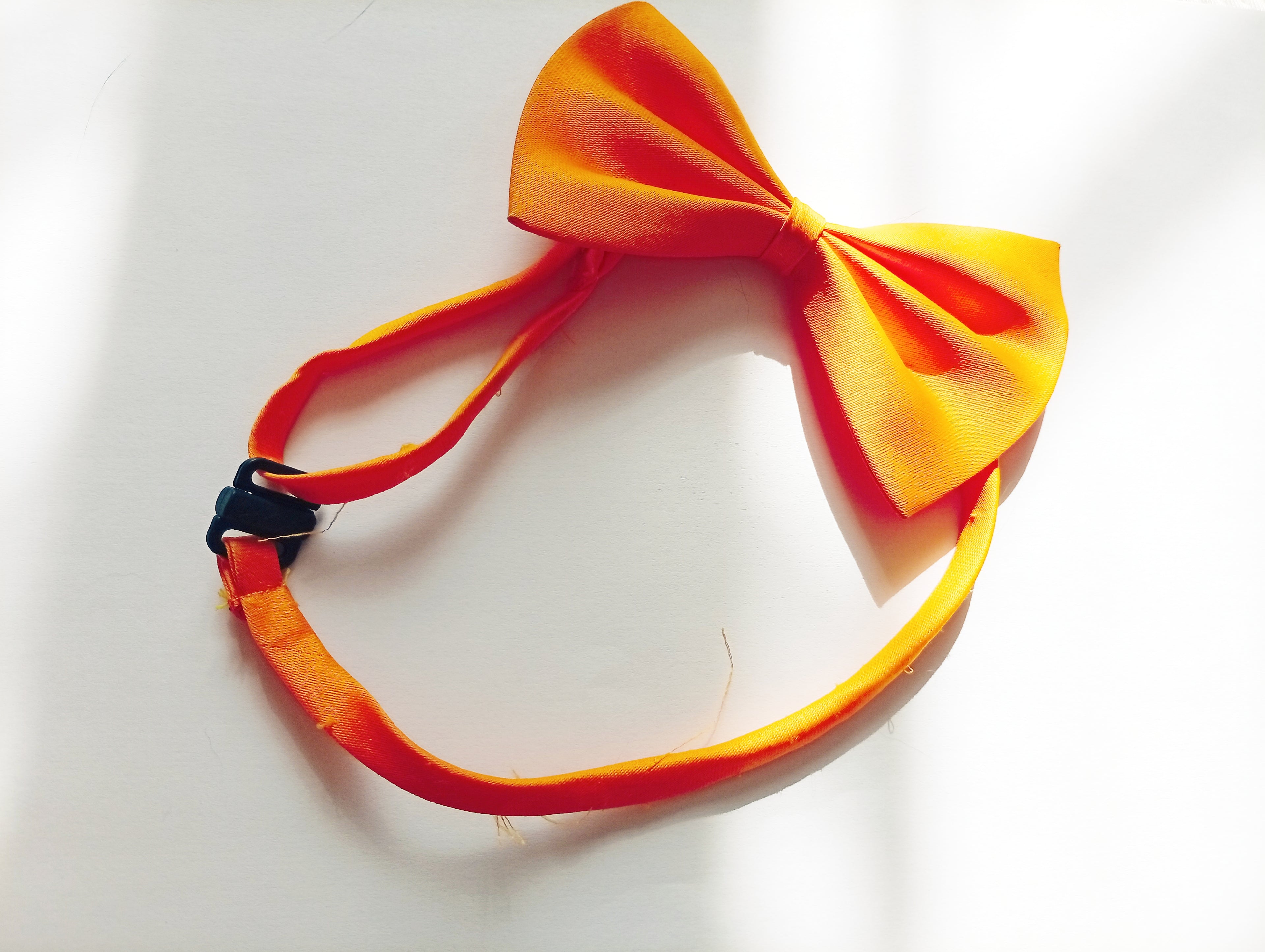 Nœud papillon Petit Chat, collier pour chat et chien réglable: 19 couleurs