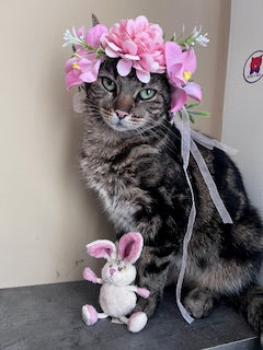 Couronne pour chat ou chien ajustable à toutes les têtes avec grandes fleurs 😺