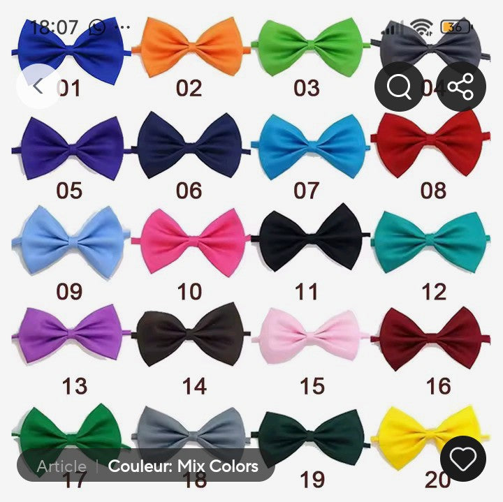 Nœud papillon Petit Chat, collier pour chat et chien réglable: 19 couleurs