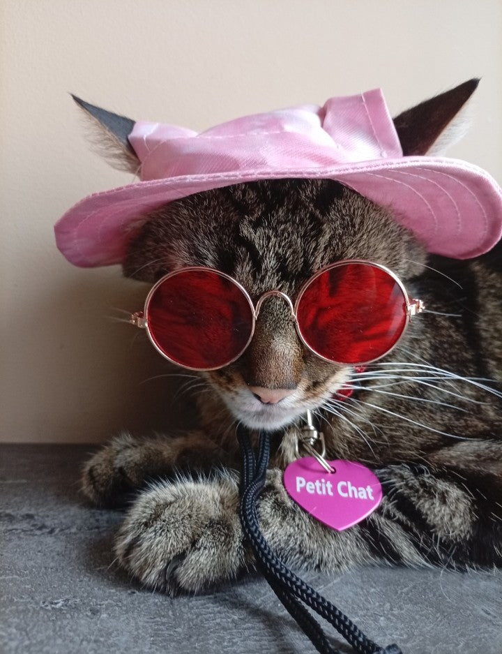 Cat Hat Model 1