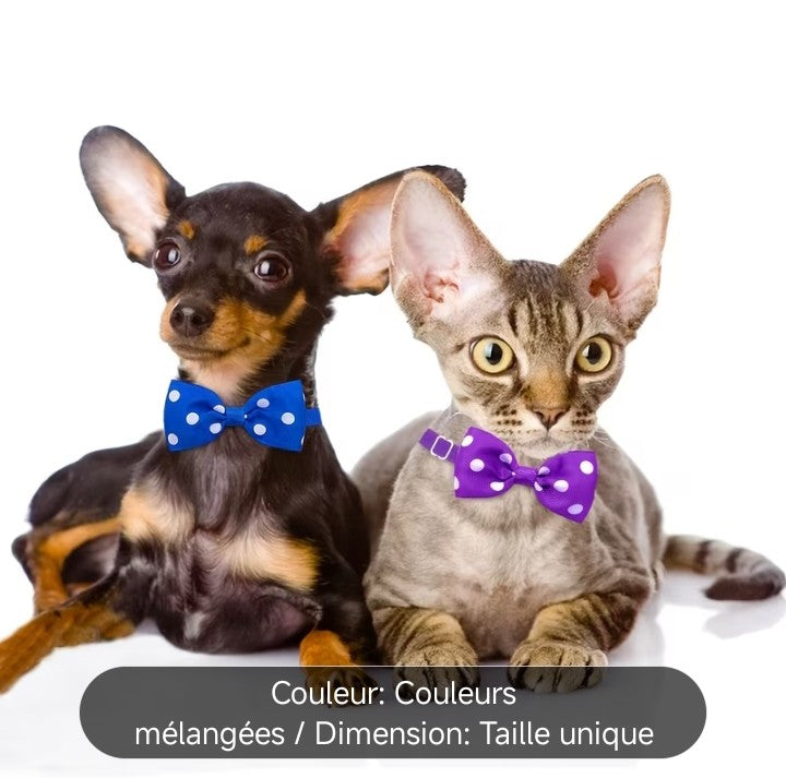 Nœud papillon à petits pois, Petit Chat, pour chats et chiens
