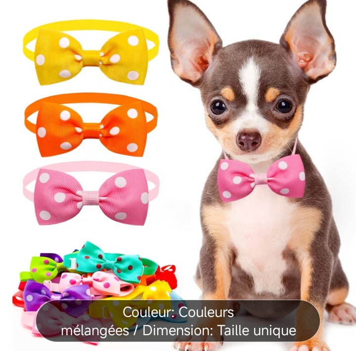 Nœud papillon à petits pois, Petit Chat, pour chats et chiens