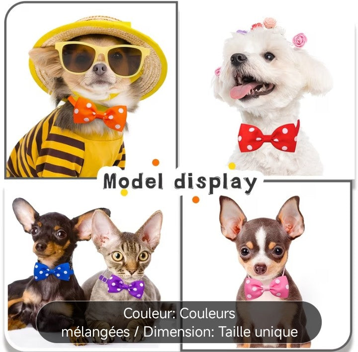 Nœud papillon à petits pois, Petit Chat, pour chats et chiens