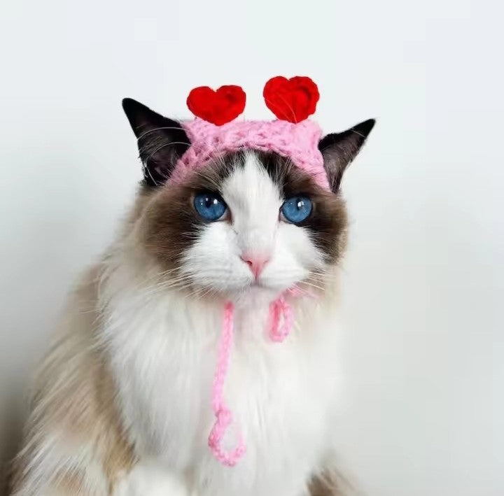 Chapeau au crochet modèle 1 🐱🐶