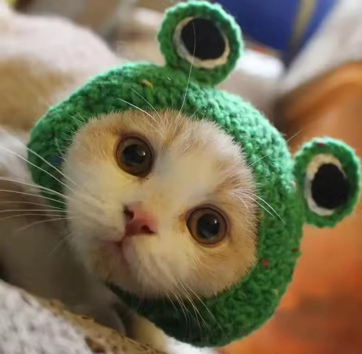 Chapeau au crochet modèle 3 🐱🐶 pour chats et petits chiens😻