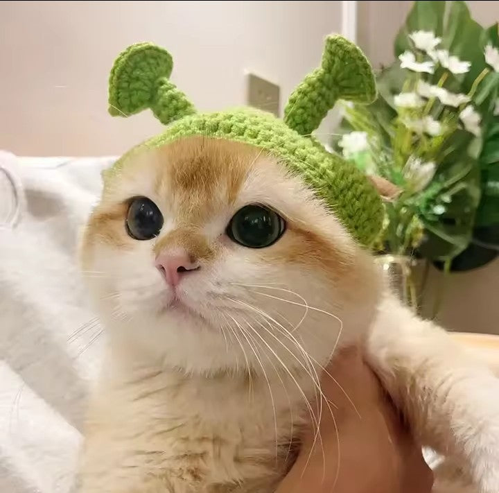 Chapeau au crochet modèle 2 🐱🐶 pour chats et petits chiens😻