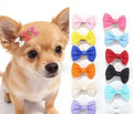 5 Pinces Nœud Papillon pour Chiots et Chats en noeud papillon