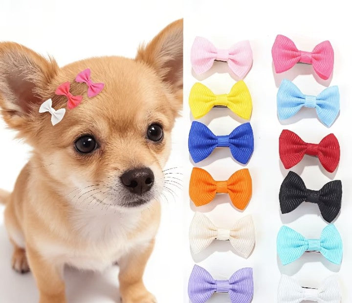 5 Pinces Nœud Papillon pour Chiots et Chats en noeud papillon
