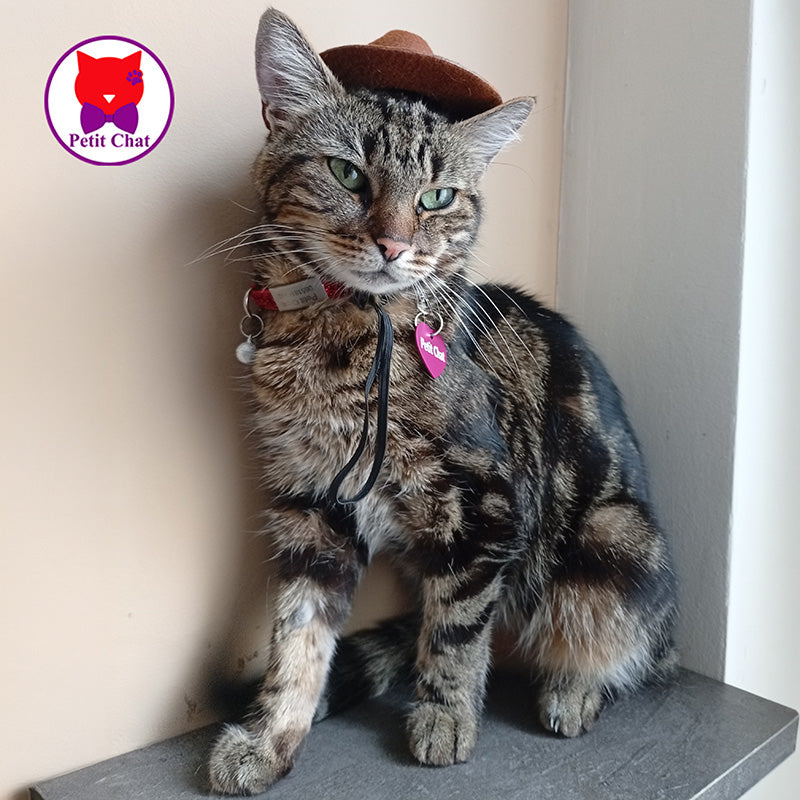 Cat Hat