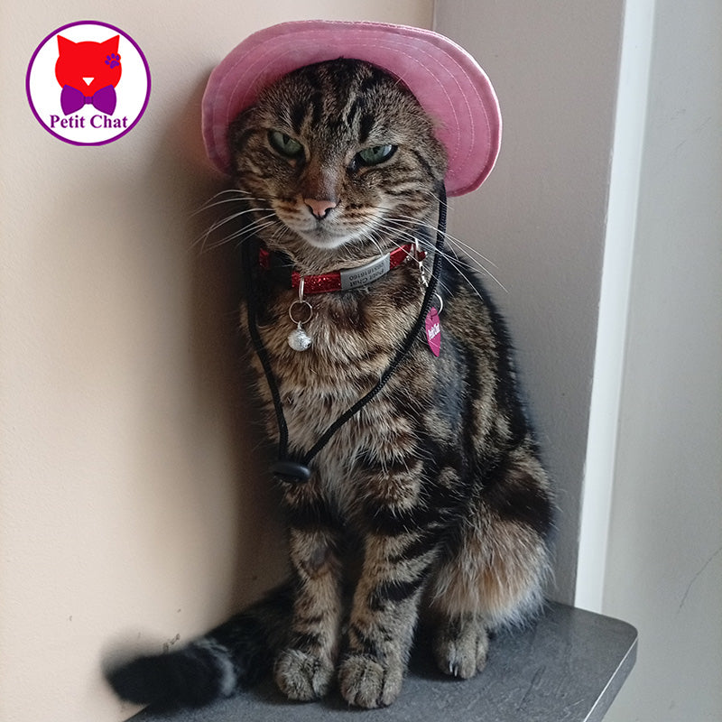 Cat Hat Model 1