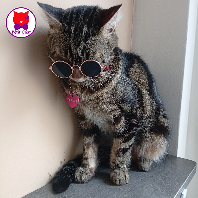 Lunettes de soleil pour chat ou petit chien "Petit Chat" modèle 1