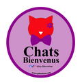 Sticker pour magasin "Chats Bienvenus"